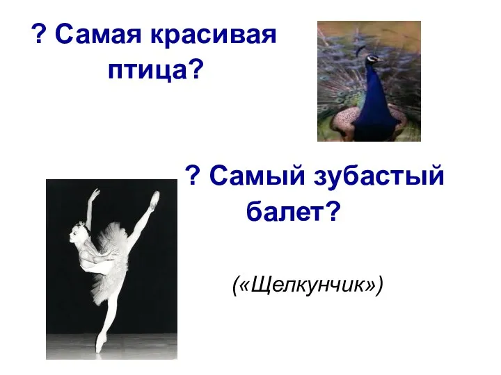 ? Самая красивая птица? ? Самый зубастый балет? («Щелкунчик»)