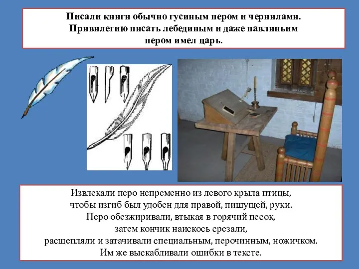 Писали книги обычно гусиным пером и чернилами. Привилегию писать лебединым и даже павлиньим