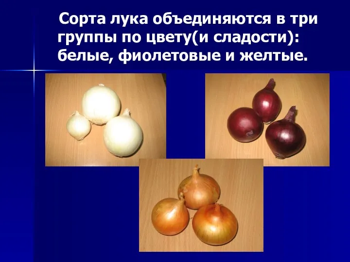 Сорта лука объединяются в три группы по цвету(и сладости): белые, фиолетовые и желтые.