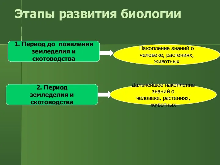 Этапы развития биологии 1. Период до появления земледелия и скотоводства