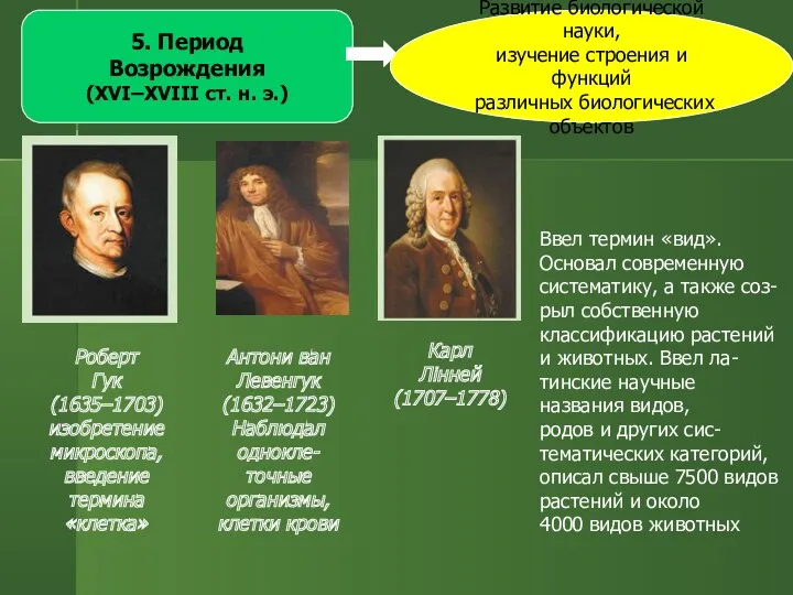 5. Период Возрождения (ХVІ–XVІІІ ст. н. э.) Развитие биологической науки,