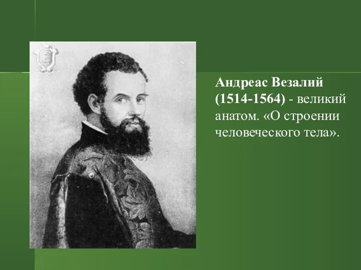 Андреас Везалий (1514-1564) - великий анатом. «О строении человеческого тела».