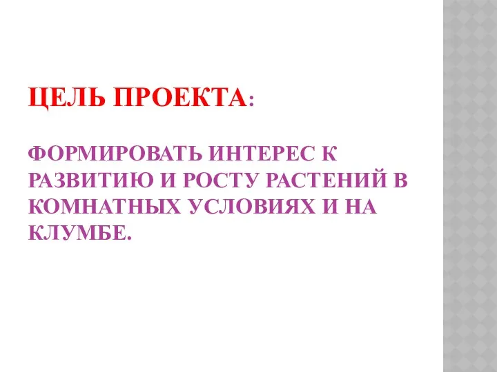 Цель проекта: формировать интерес к развитию и росту растений в комнатных условиях и на клумбе.