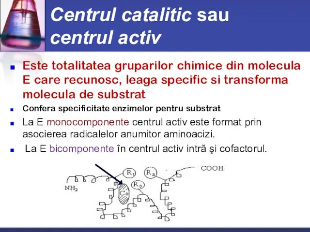 Centrul catalitic sau centrul activ Este totalitatea gruparilor chimice din