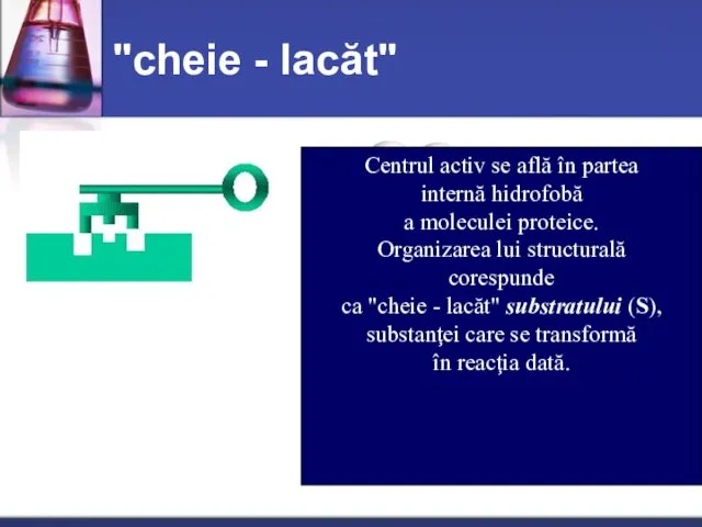 "cheie - lacăt" Centrul activ se află în partea internă