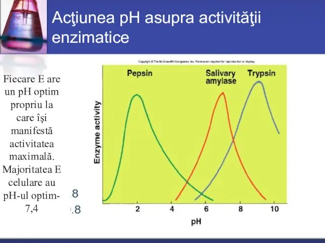 Acţiunea pH asupra activităţii enzimatice Fiecare E are un pH