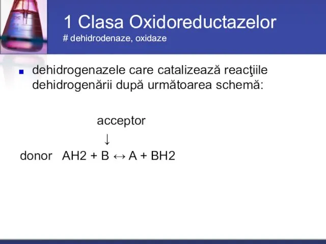 1 Clasa Oxidoreductazelor # dehidrodenaze, oxidaze dehidrogenazele care catalizează reacţiile