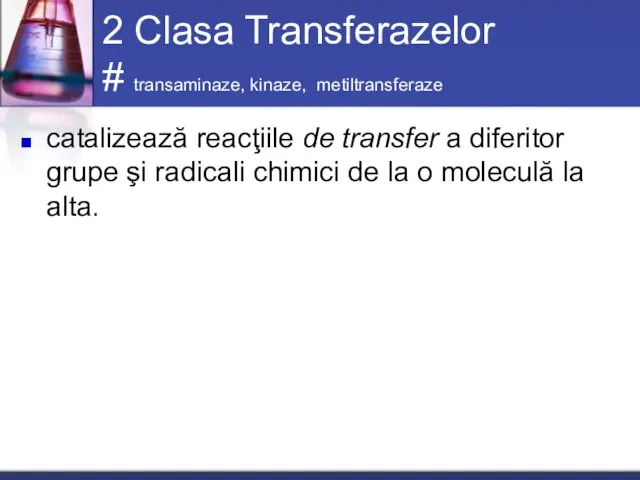 2 Clasa Transferazelor # transaminaze, kinaze, metiltransferaze catalizează reacţiile de