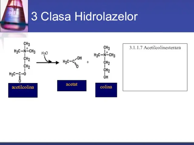 3 Clasa Hidrolazelor acetilcolina acetat colina 3.1.1.7 Acetilcolinesteraza