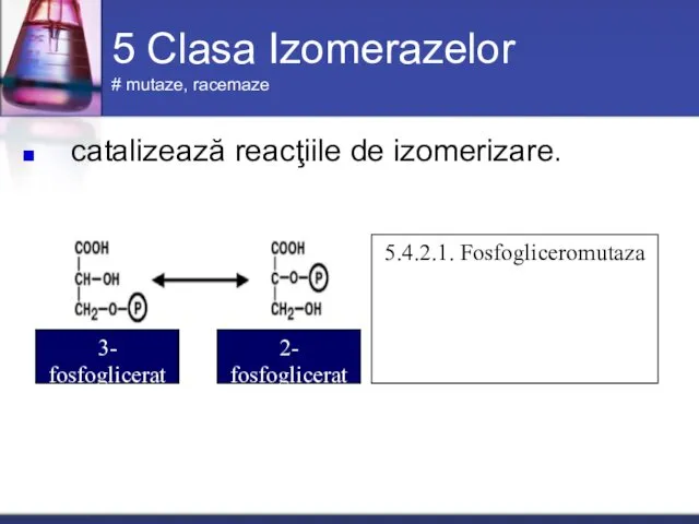 5 Clasa Izomerazelor # mutaze, racemaze catalizează reacţiile de izomerizare. 3- fosfoglicerat 2- fosfoglicerat 5.4.2.1. Fosfogliceromutaza