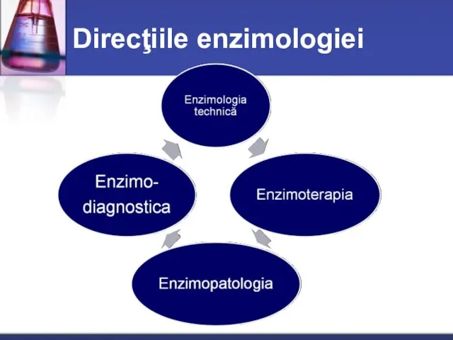 Direcţiile enzimologiei