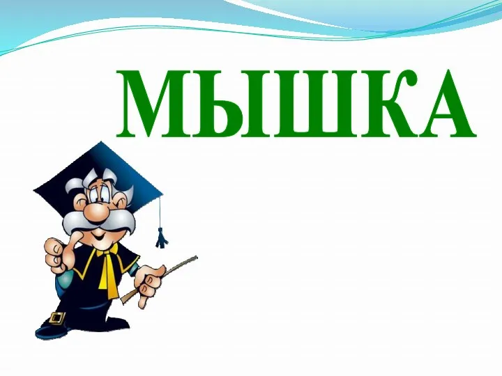 МЫШКА