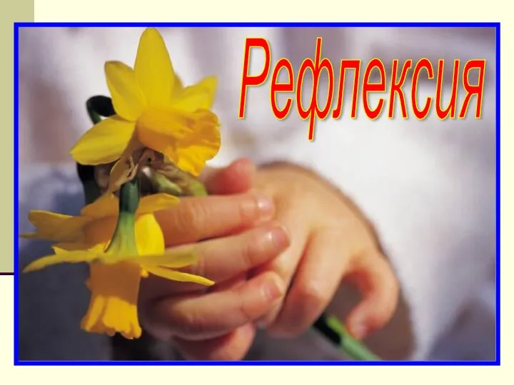 Рефлексия