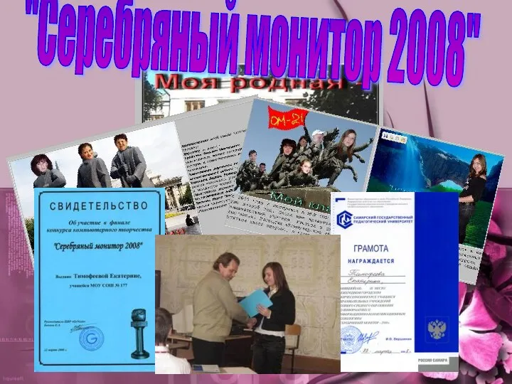 "Серебряный монитор 2008"