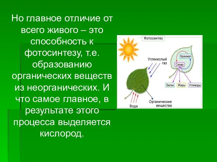 Но главное отличие от всего живого – это способность к