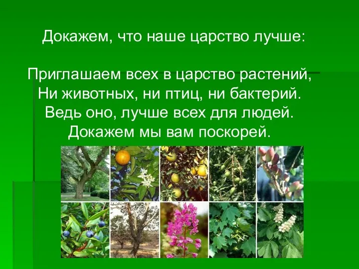 Докажем, что наше царство лучше: Приглашаем всех в царство растений,