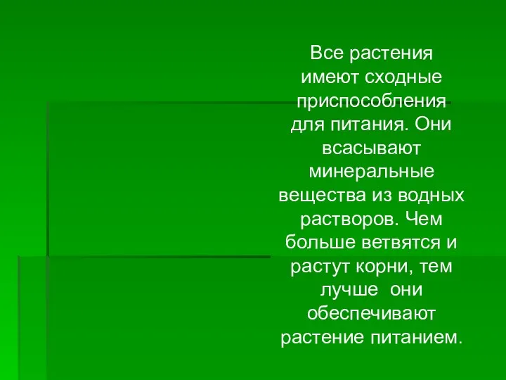 Все растения имеют сходные приспособления для питания. Они всасывают минеральные