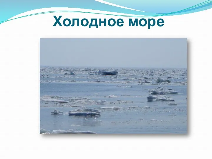 Холодное море