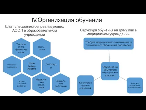 Штат специалистов, реализующих АООП в образовательном учреждении Структура обучения на