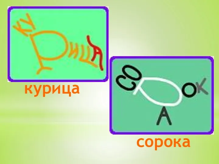 курица сорока