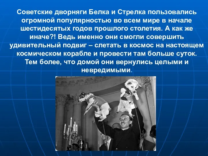 Советские дворняги Белка и Стрелка пользовались огромной популярностью во всем мире в начале