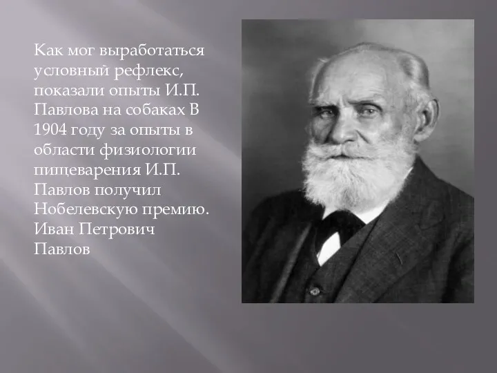 Как мог выработаться условный рефлекс, показали опыты И.П. Павлова на