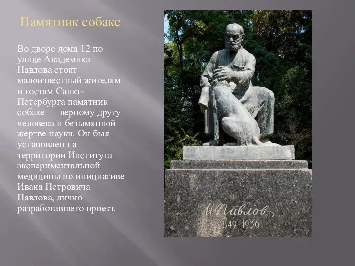 Памятник собаке Во дворе дома 12 по улице Академика Павлова