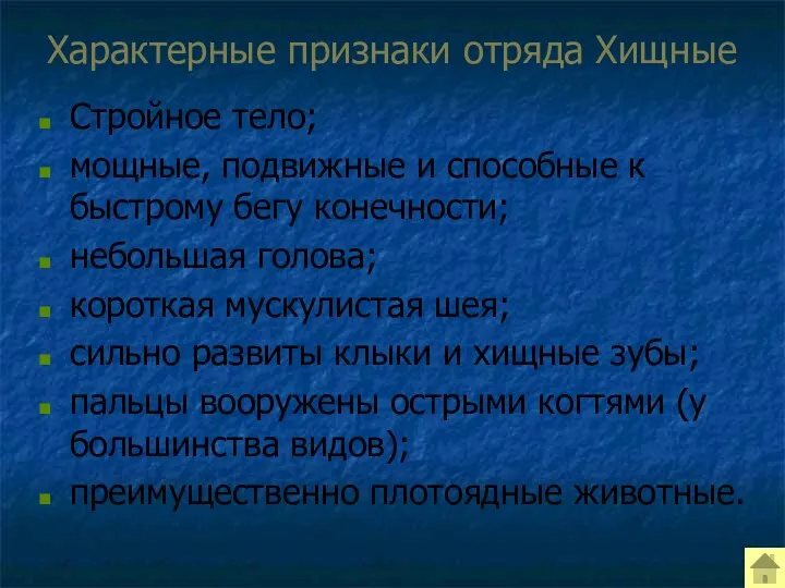 Характерные признаки отряда Хищные Стройное тело; мощные, подвижные и способные