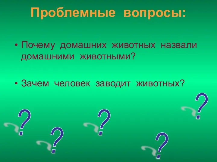 Проблемные вопросы: Почему домашних животных назвали домашними животными? Зачем человек