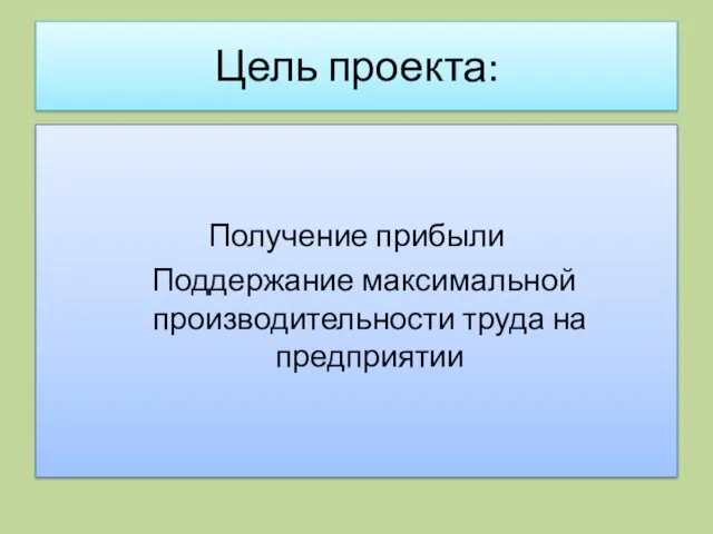 Цель проекта: Получение прибыли Поддержание максимальной производительности труда на предприятии