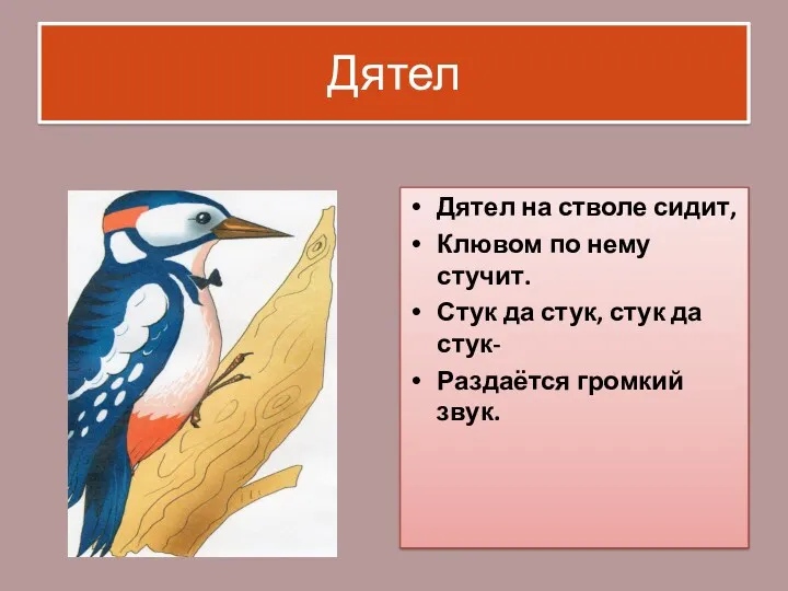 Дятел Дятел на стволе сидит, Клювом по нему стучит. Стук