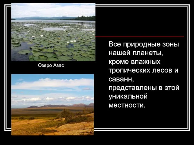 Все природные зоны нашей планеты, кроме влажных тропических лесов и