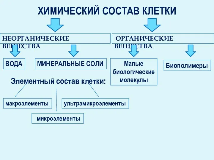 ХИМИЧЕСКИЙ СОСТАВ КЛЕТКИ НЕОРГАНИЧЕСКИЕ ВЕЩЕСТВА ОРГАНИЧЕСКИЕ ВЕЩЕСТВА ВОДА МИНЕРАЛЬНЫЕ СОЛИ