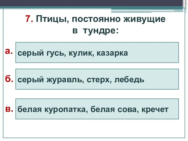 7. Птицы, постоянно живущие в тундре: серый журавль, стерх, лебедь