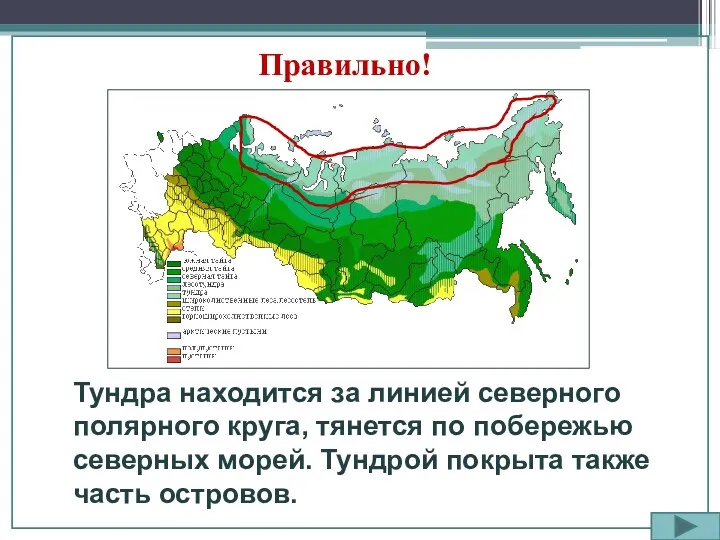 Правильно! Тундра находится за линией северного полярного круга, тянется по