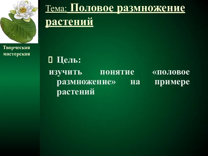 Тема: Половое размножение растений Цель: изучить понятие «половое размножение» на примере растений Творческая мастерская