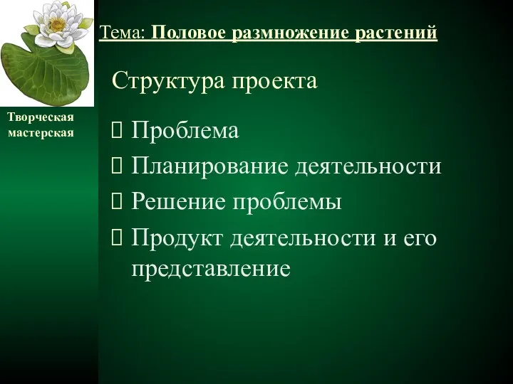 Структура проекта Проблема Планирование деятельности Решение проблемы Продукт деятельности и