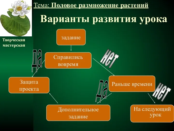 Варианты развития урока задание На следующий урок Раньше времени Справились