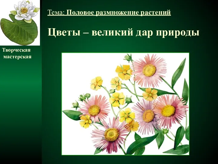 Тема: Половое размножение растений Цветы – великий дар природы Творческая мастерская