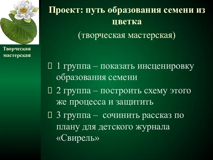 Проект: путь образования семени из цветка (творческая мастерская) 1 группа