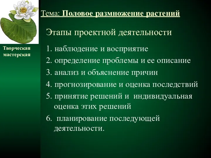 Этапы проектной деятельности 1. наблюдение и восприятие 2. определение проблемы