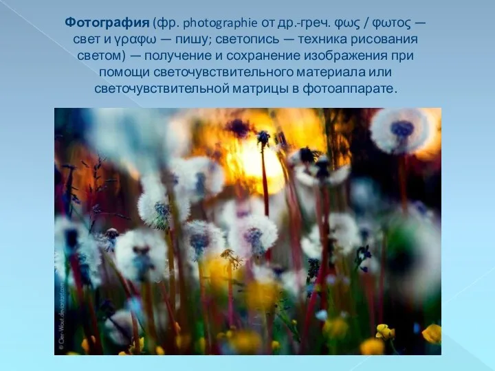 Фотография (фр. photographie от др.-греч. φως / φωτος — свет и γραφω —