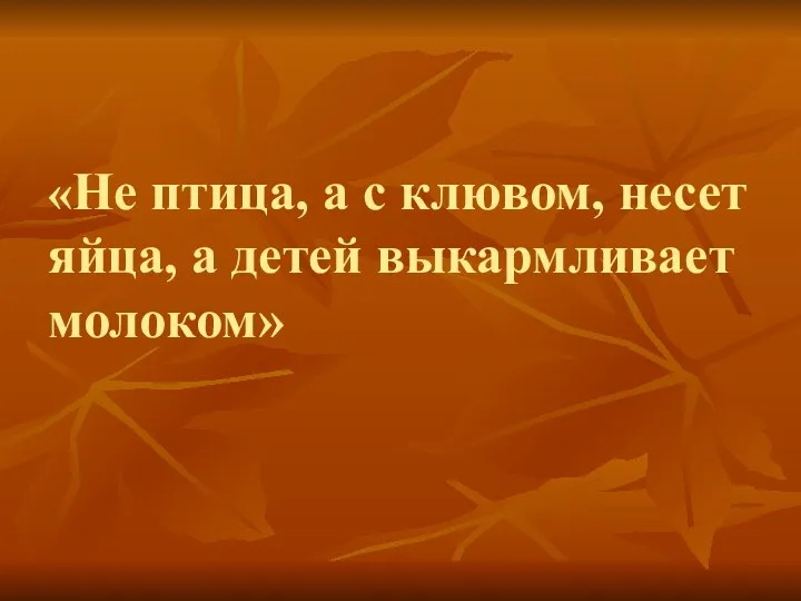 «Не птица, а с клювом, несет яйца, а детей выкармливает молоком»