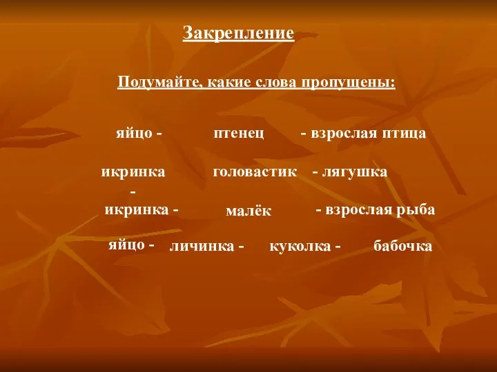 Закрепление Подумайте, какие слова пропущены: яйцо - птенец - взрослая