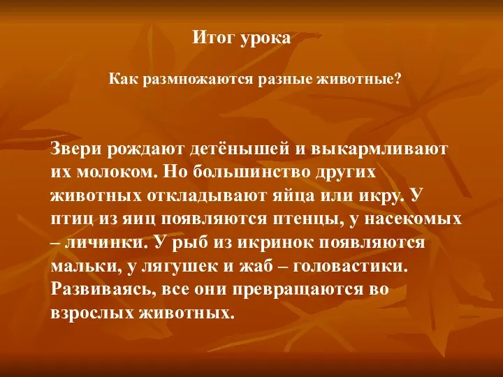 Итог урока Как размножаются разные животные? Звери рождают детёнышей и