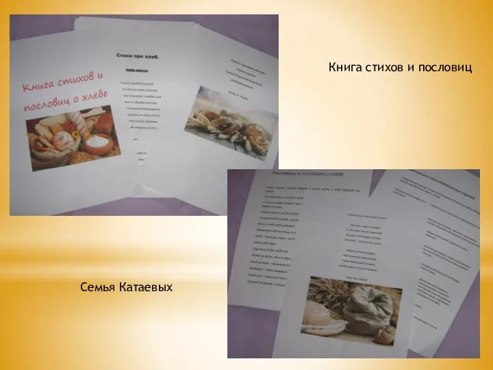 Книга стихов и пословиц Семья Катаевых
