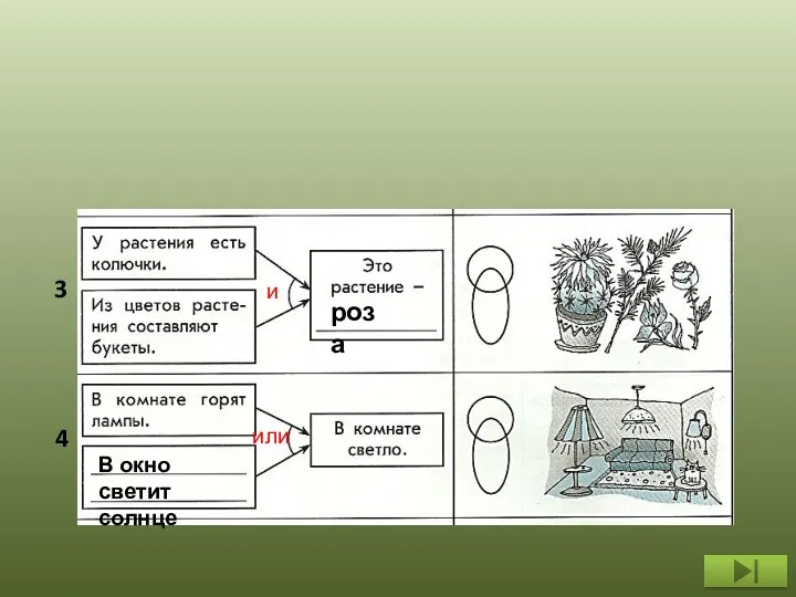 или роза В окно светит солнце и 3 4