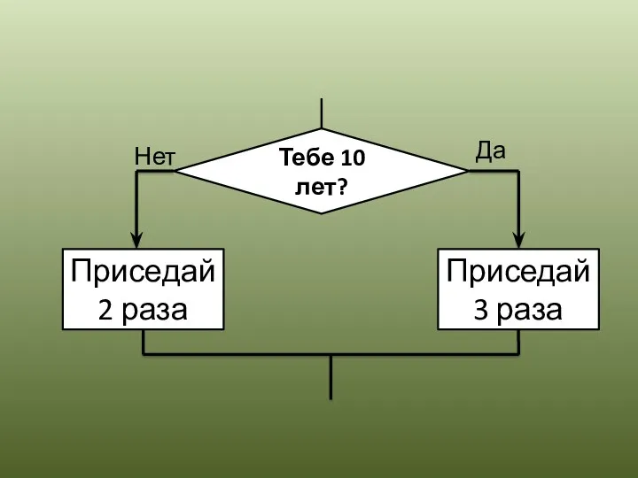 Тебе 10 лет? Приседай 2 раза Приседай 3 раза Да Нет