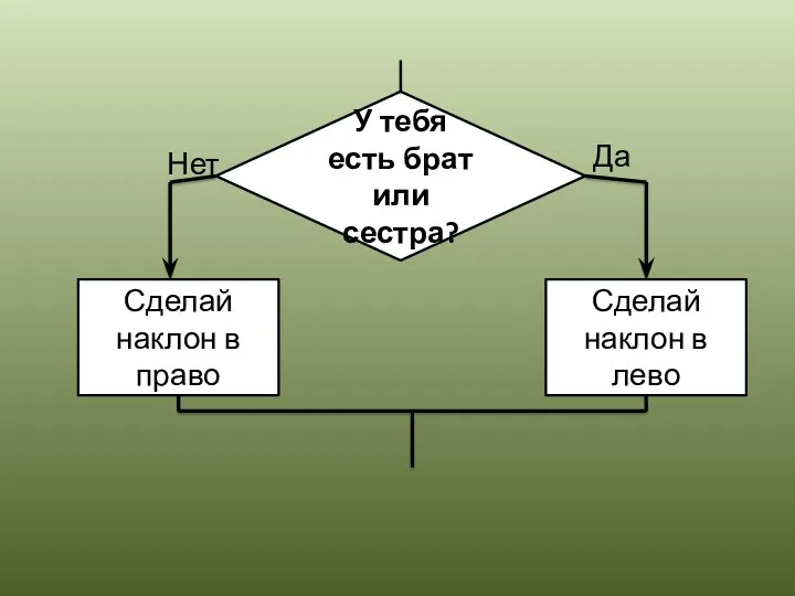 У тебя есть брат или сестра? Сделай наклон в право Сделай наклон в лево Да Нет