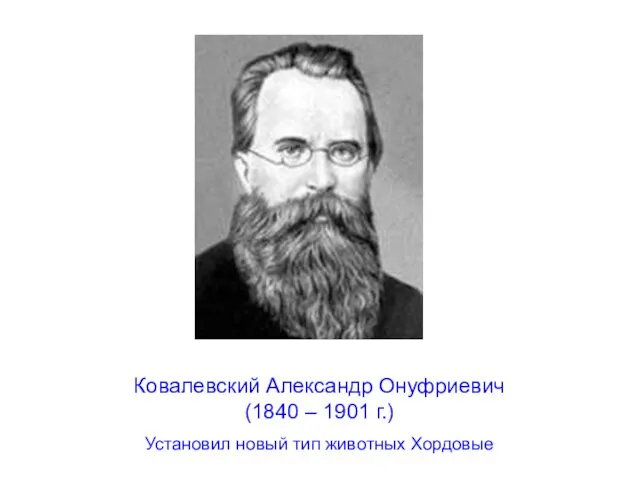 Ковалевский Александр Онуфриевич (1840 – 1901 г.) Установил новый тип животных Хордовые